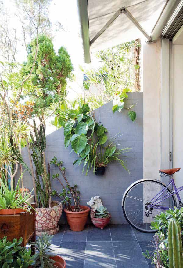 Una bici su un terrazzo pieno di piante